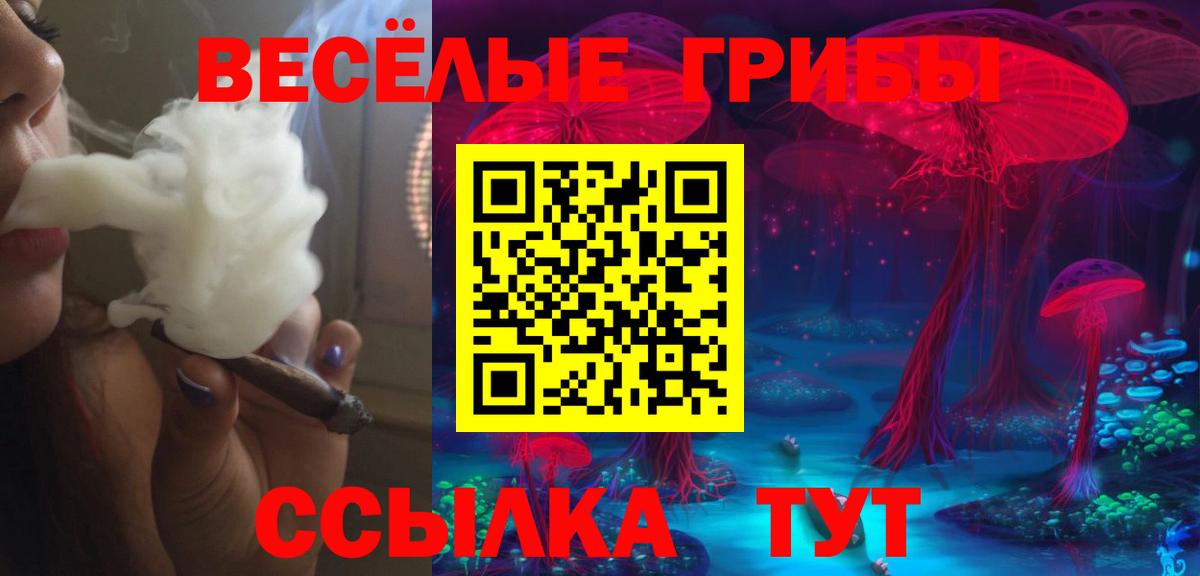 Санкт-Петербург  Псилоцибиновые грибы мицелий  Вход с VPN 